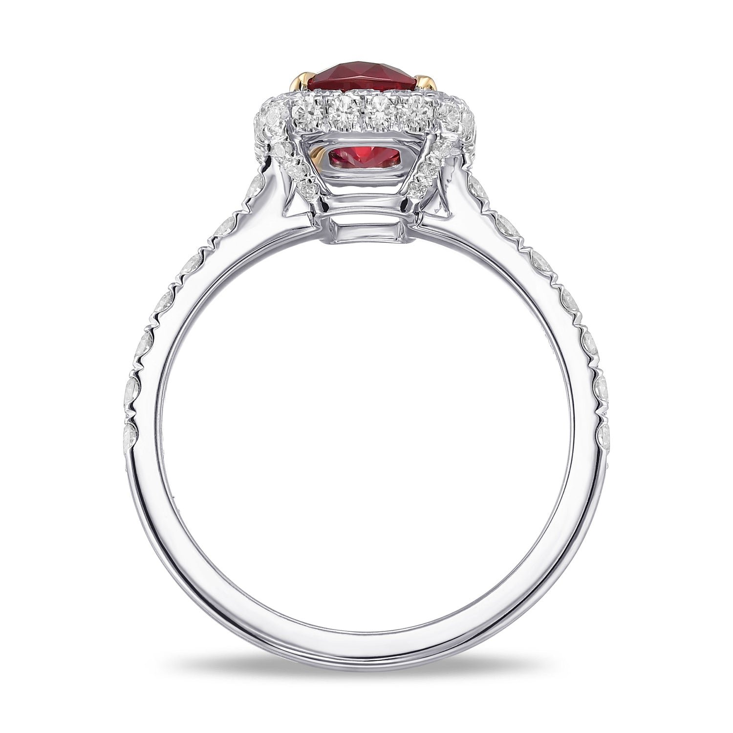 Cushion Pigeon Blood Ruby & Diamond Halo Ring