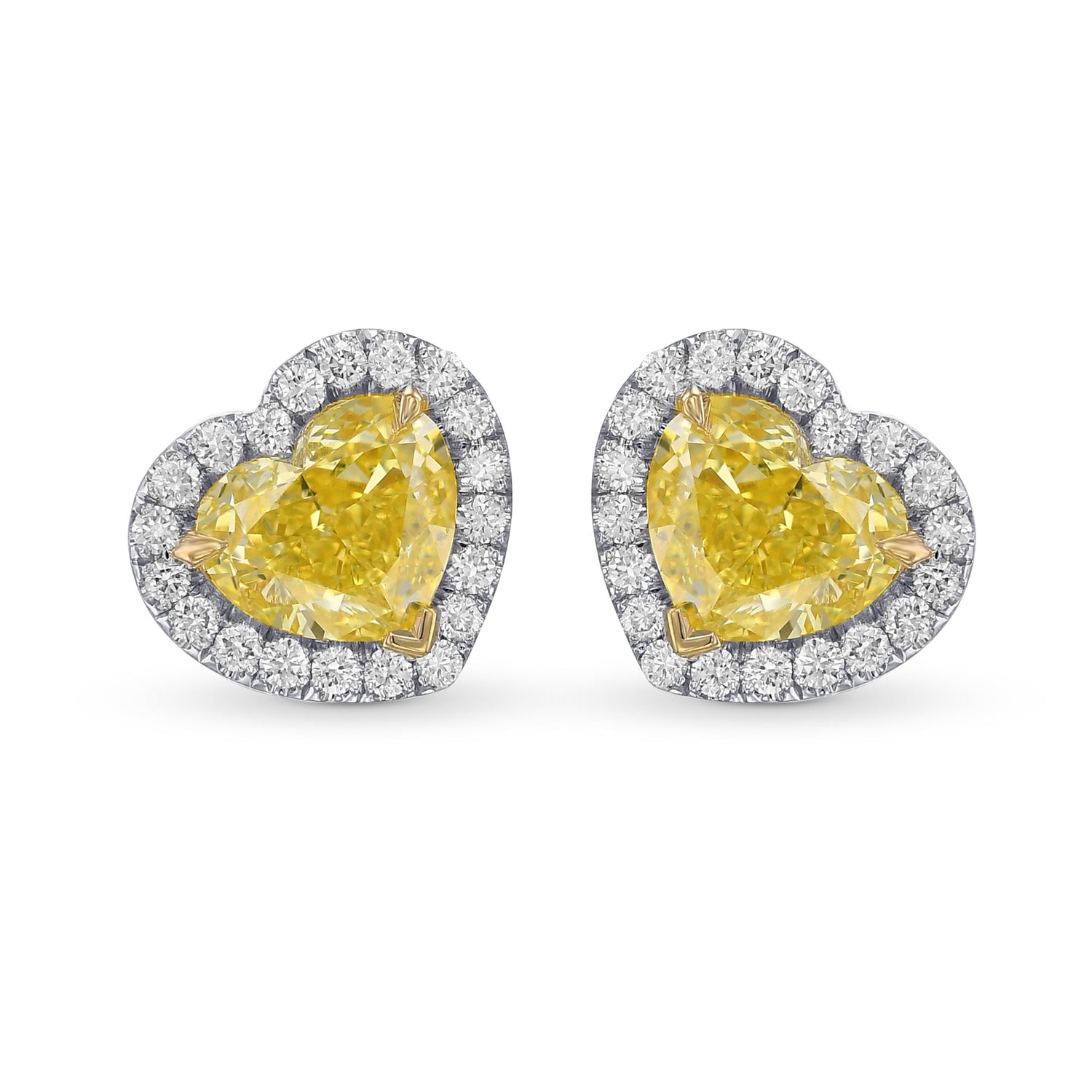 Fancy Intense Yellow Heart Shape Diamond Halo Earrings