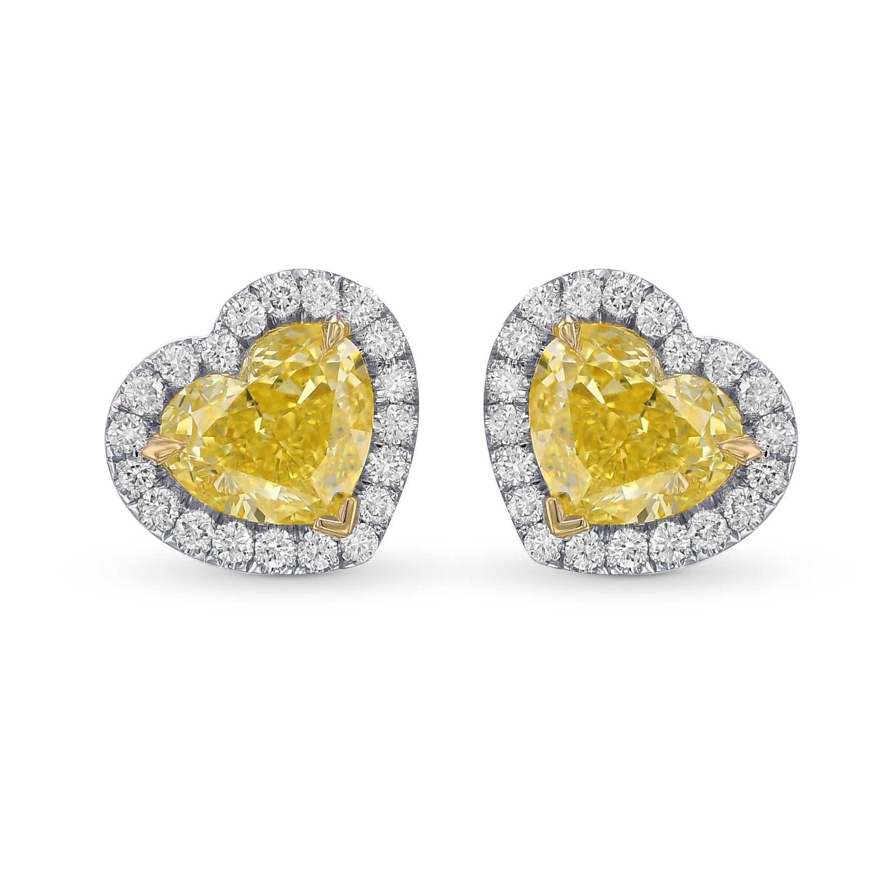 Fancy Intense Yellow Heart Shape Diamond Halo Earrings