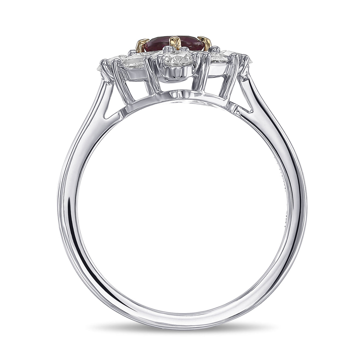  Extraordinary Ruby and Diamond Halo Ring