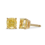  Fancy Intense Yellow Cushion Stud Earrings