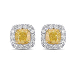 Fancy Yellow Cushion Halo Diamond Earrings
