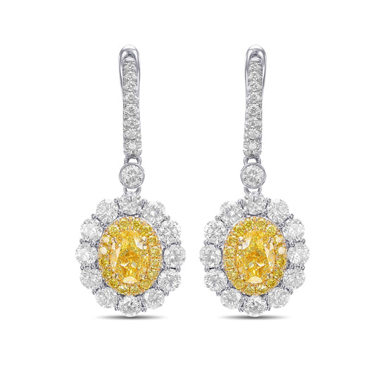 Fancy Intense Yellow Oval Diamond Drop Halo Earrings