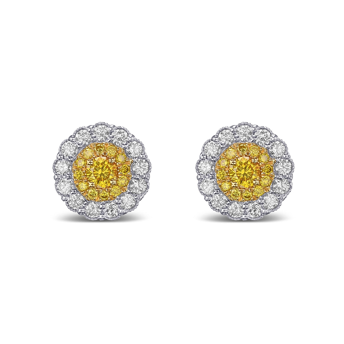 Fancy Vivid Yellow Round Brilliant Double Halo Diamond Earrings