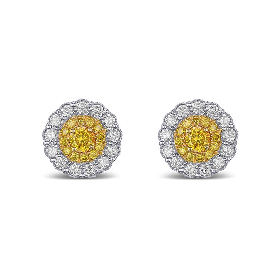 Fancy Vivid Yellow Round Brilliant Double Halo Diamond Earrings