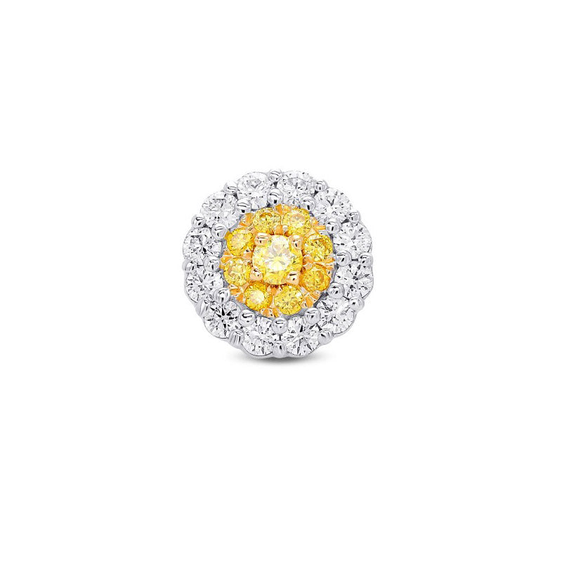 Fancy Intense Yellow Round Brilliant Double Halo Diamond Earring