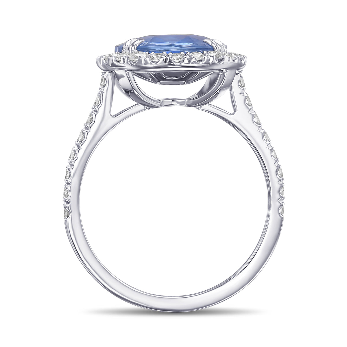 Oval Sapphire and Diamond Halo Ring
