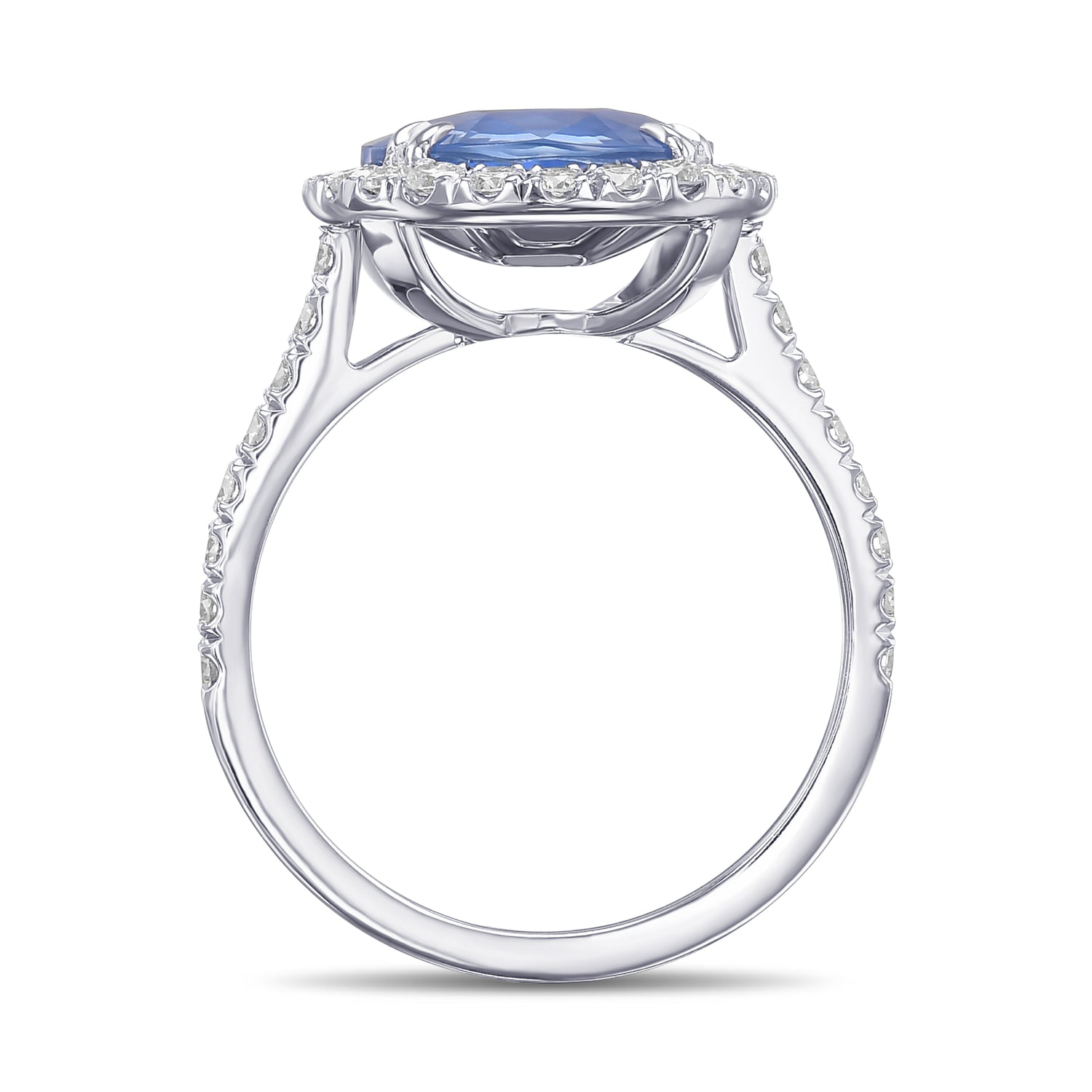 Oval Sapphire and Diamond Halo Ring