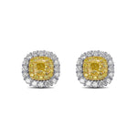 Fancy Intense Yellow Cushion Diamond Double Halo Earrings