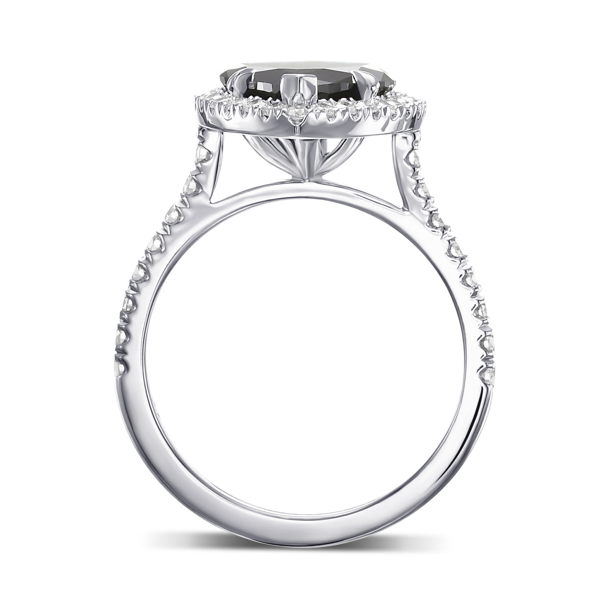 Marquise Fancy Black Micro-Pave Diamond Halo Ring