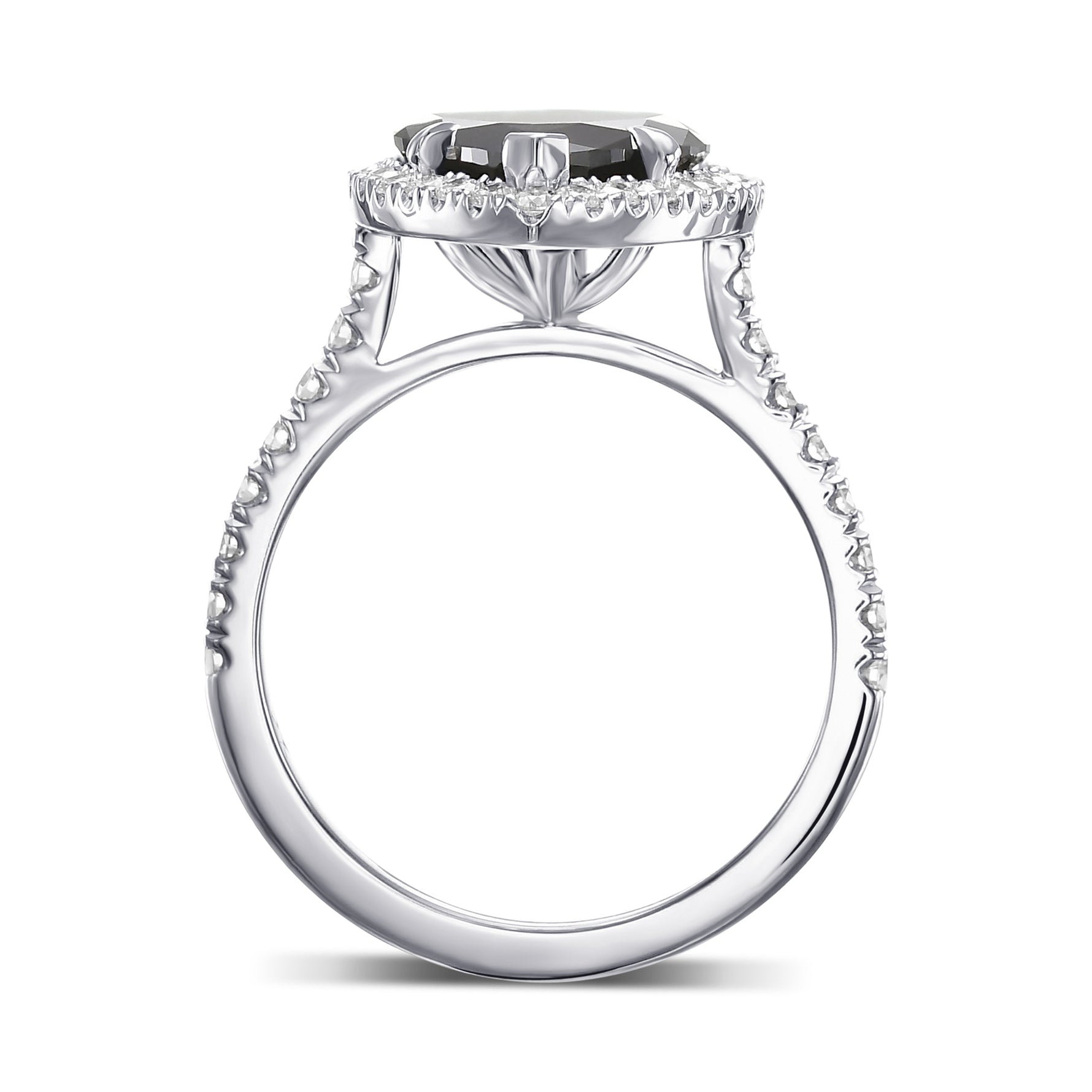 Marquise Fancy Black Micro-Pave Diamond Halo Ring