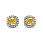 Fancy Yellow Cushion Halo Earrings