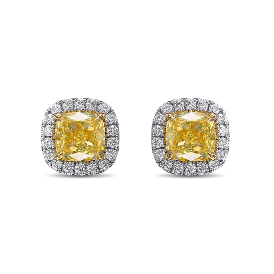 Fancy Yellow Cushion Halo Earrings
