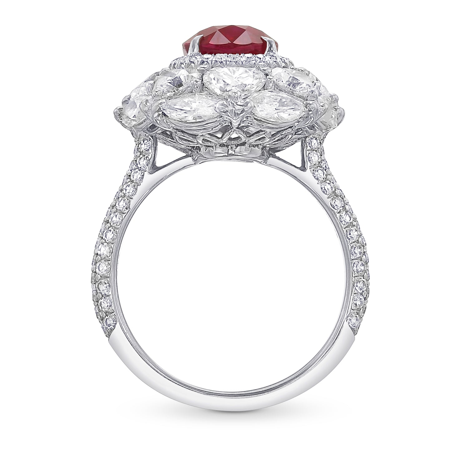 Oval Ruby and Diamond Couture Halo Ring