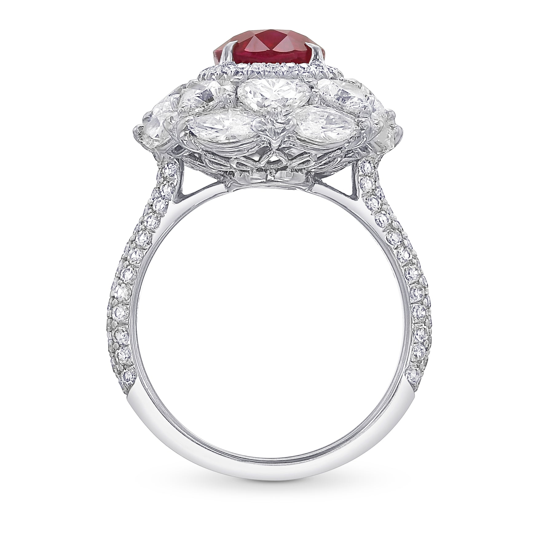 Oval Ruby and Diamond Couture Halo Ring
