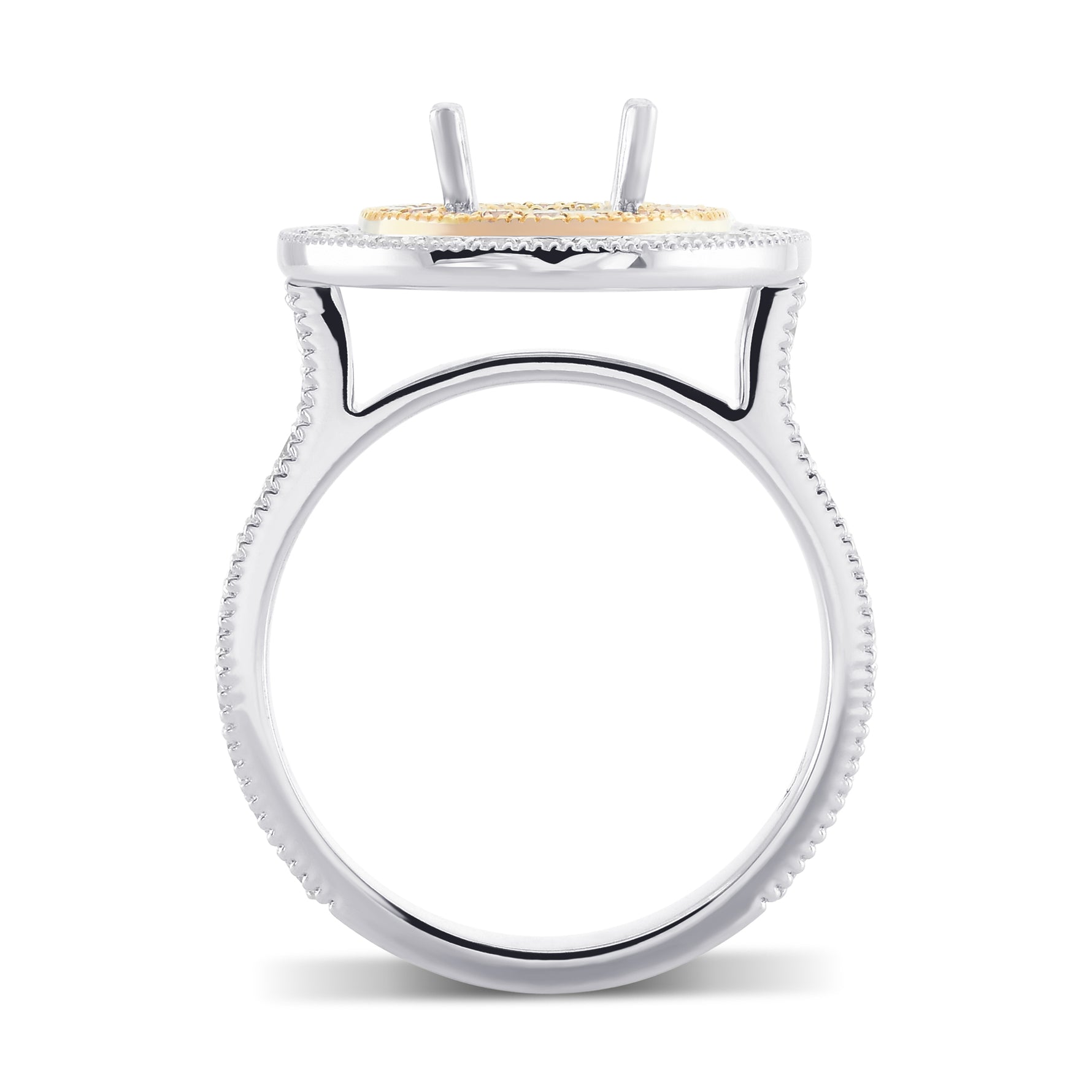 Round White and Pink Diamond Double Halo Ring Setting