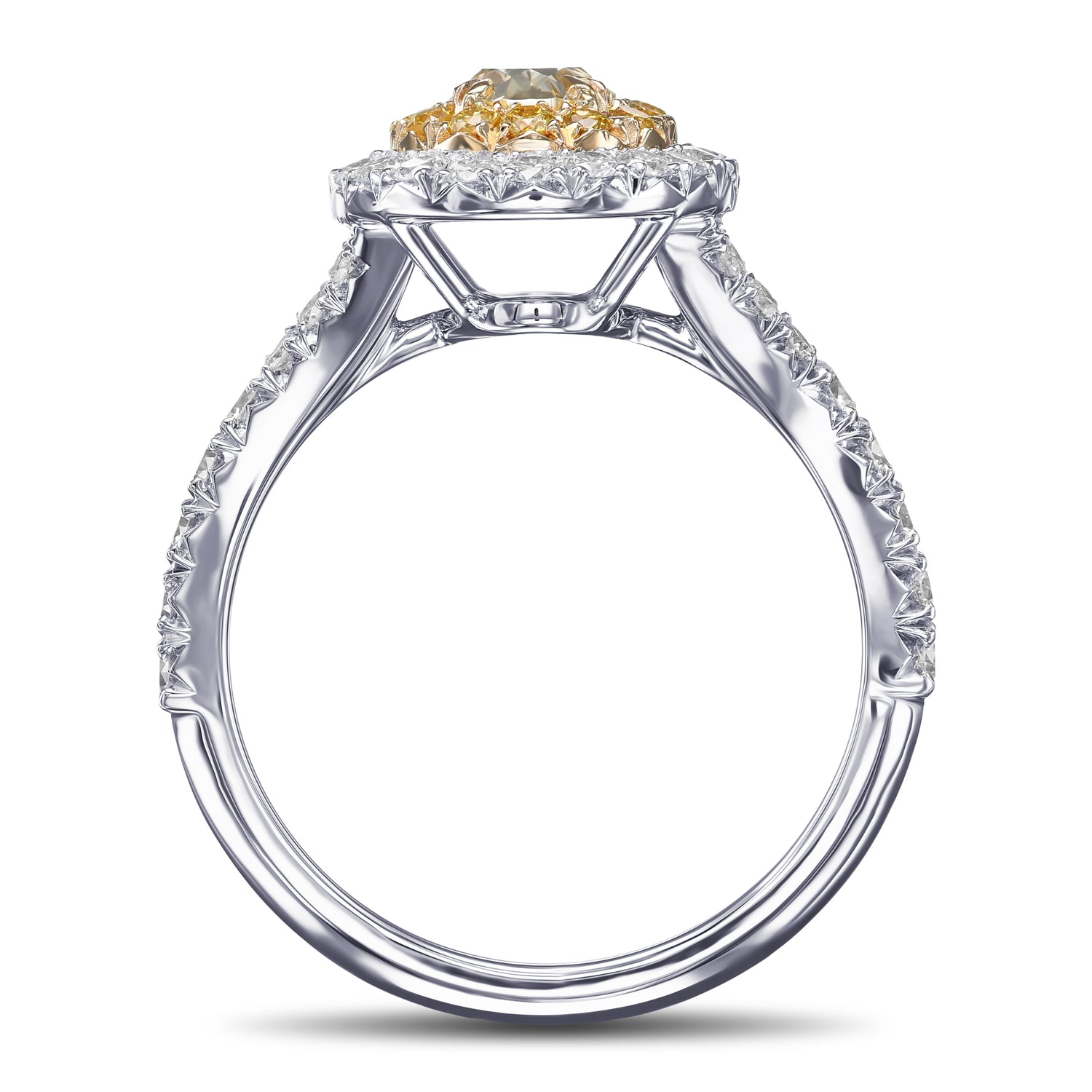 Fancy Yellow Oval Double Halo Ring