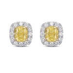 Fancy Intense Yellow Cushion Halo Diamond Earrings