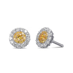 Fancy Vivid Yellow Round Brilliant Double Halo Diamond Earrings