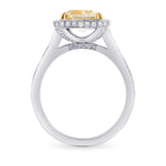  Y-Z Radiant Cut Halo Diamond Ring 