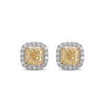 Fancy Yellow Cushion Halo Earrings