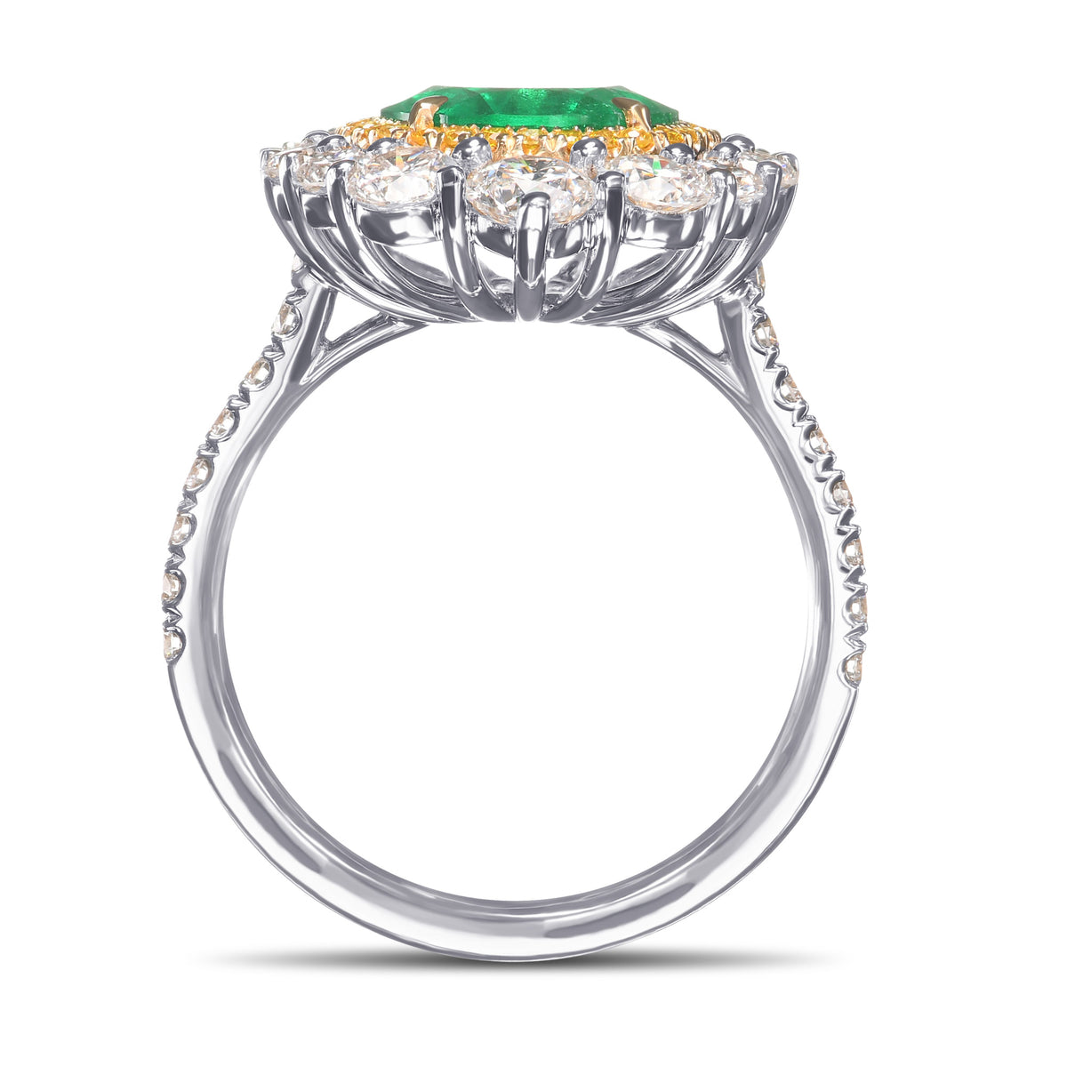 Oval Muzo Emerald and Diamond Double Halo Ring