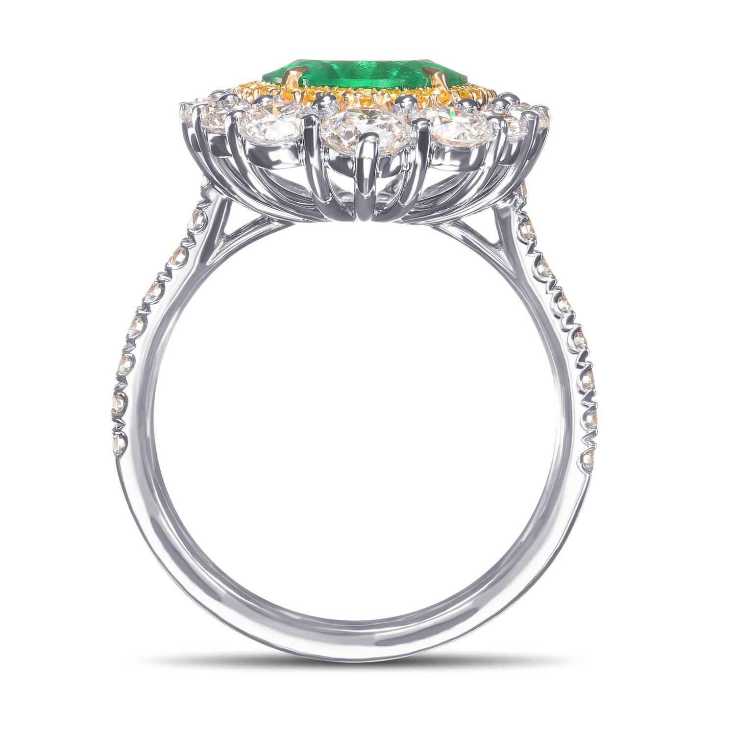 Oval Muzo Emerald and Diamond Double Halo Ring