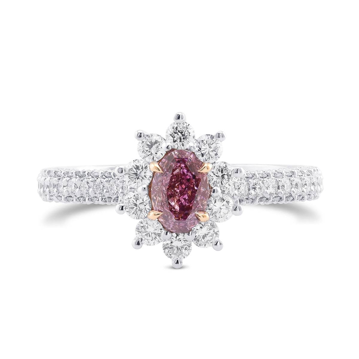 Fancy Intense Purplish Pink Oval Halo Diamond Ring
