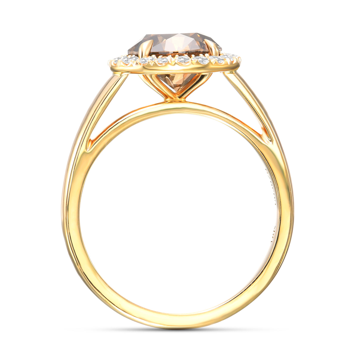 Round Fancy Dark Yellowish Brown Halo Diamond Ring