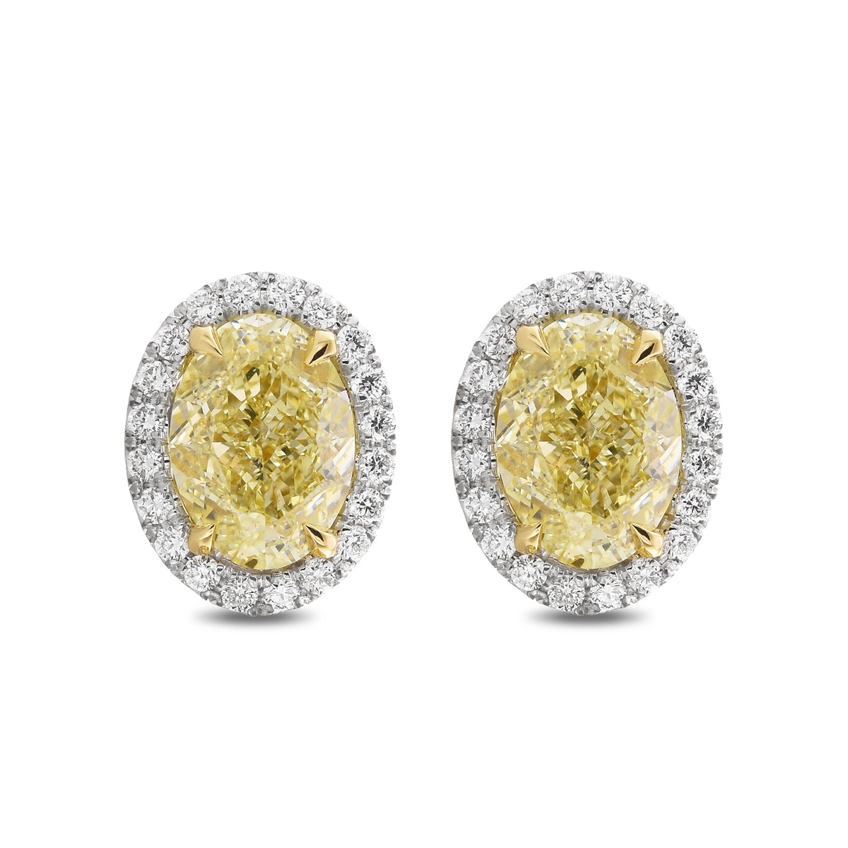 Fancy Light Yellow Oval Halo Diamond Earrings