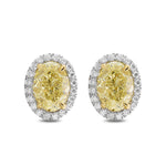 Fancy Light Yellow Oval Halo Diamond Earrings