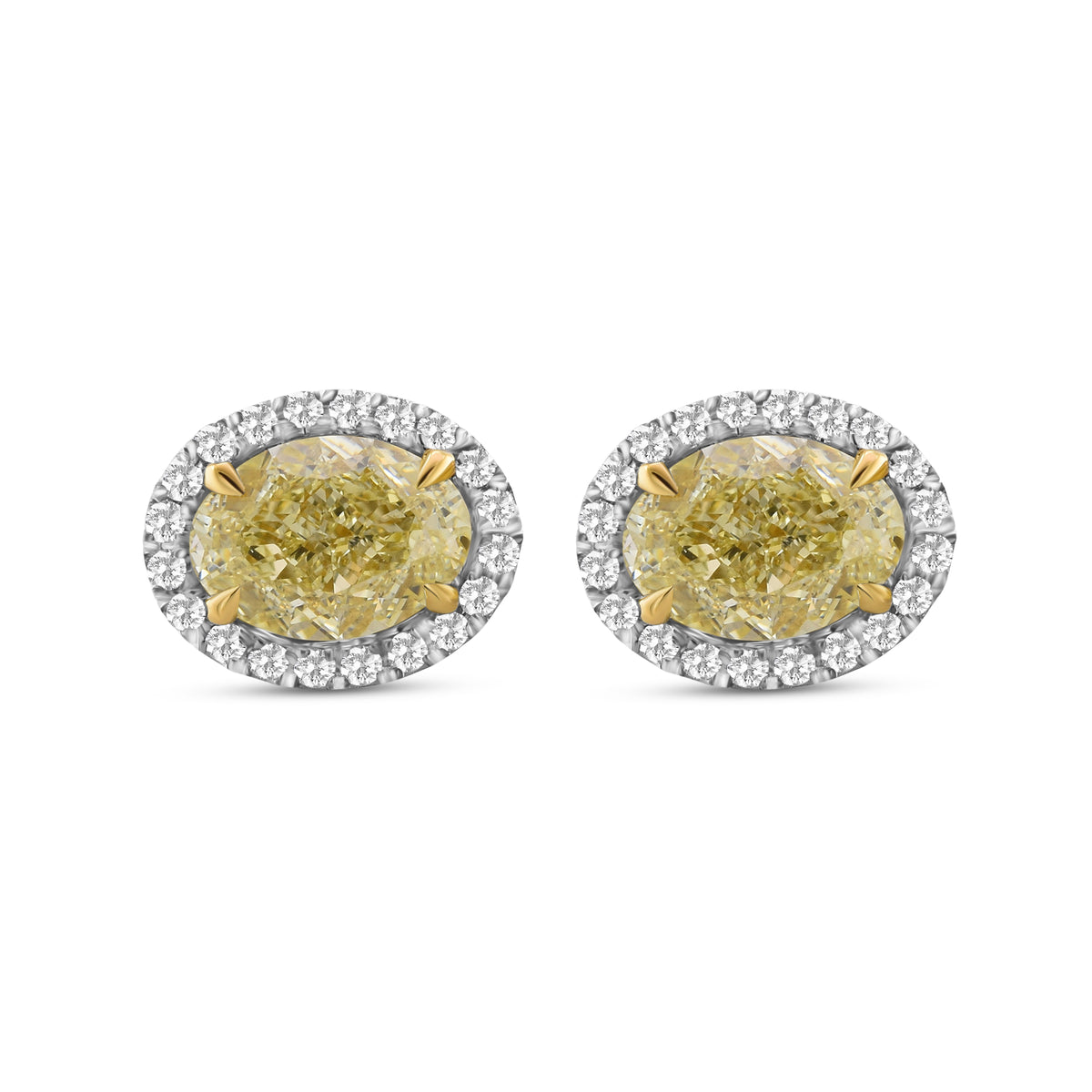 Fancy Light Yellow Oval Halo Diamond Earrings