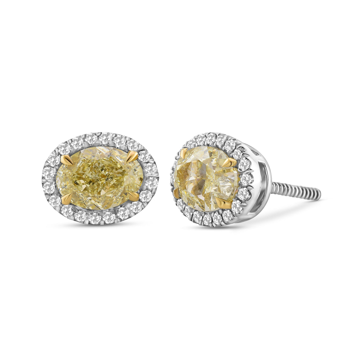 Fancy Light Yellow Oval Halo Diamond Earrings