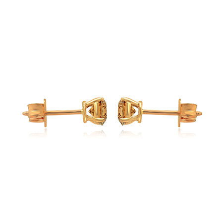 Fancy Brown Stud Earrings