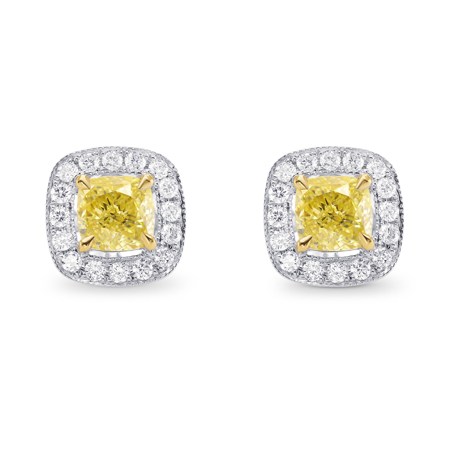 Fancy Intense Yellow Cushion Diamond Halo Earrings