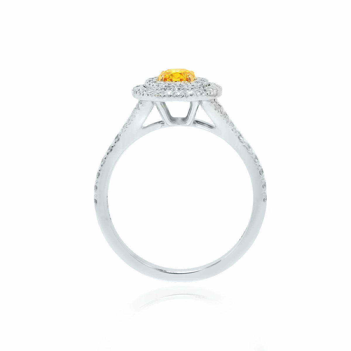 Fancy Vivid Yellow Double Halo Ring