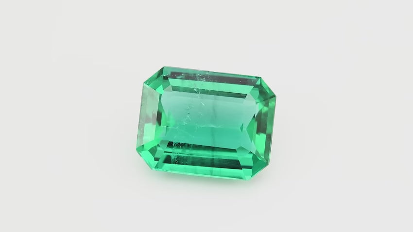 3.96 Carat Green ZAMBIAN Octagon Emerald | LEIBISH